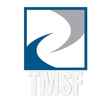 Kuzey Istanbul Logo 2